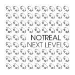 NotReal - Next Level