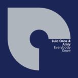 Luid Orce & Amiy - Everybody Know