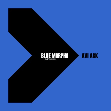 Avi Ark – Blue Morpho