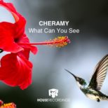 CHERAMY - What Can You See