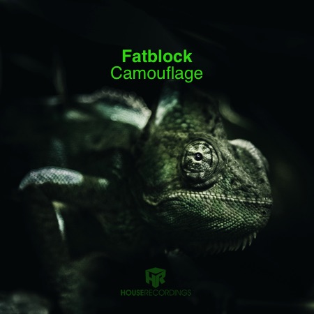 Fatblock – Camouflage