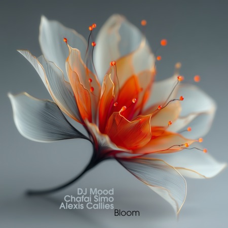 Dj Mood, Chafai Simo, Alexis Callies – Bloom (Beatport exclusive)