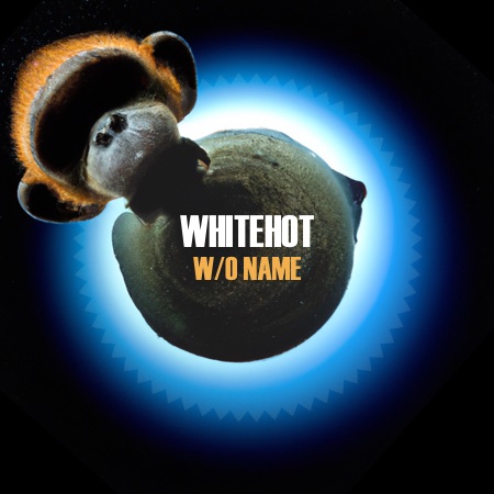 WHITEHOT – w/o Name