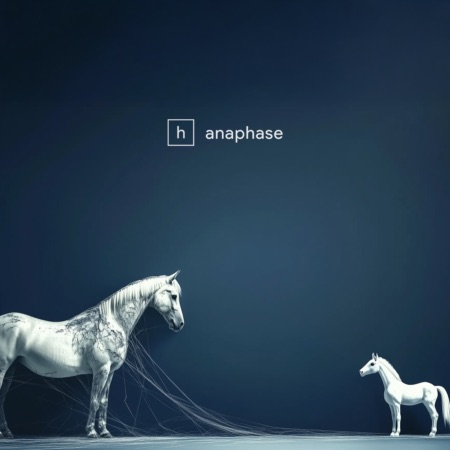 Horse & Pony – Anaphase (Beatport exclusive)