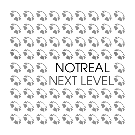 NotReal – Next Level