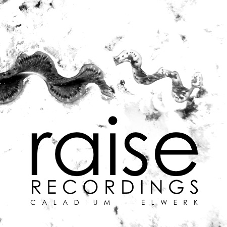 Caladium – Elwerk EP