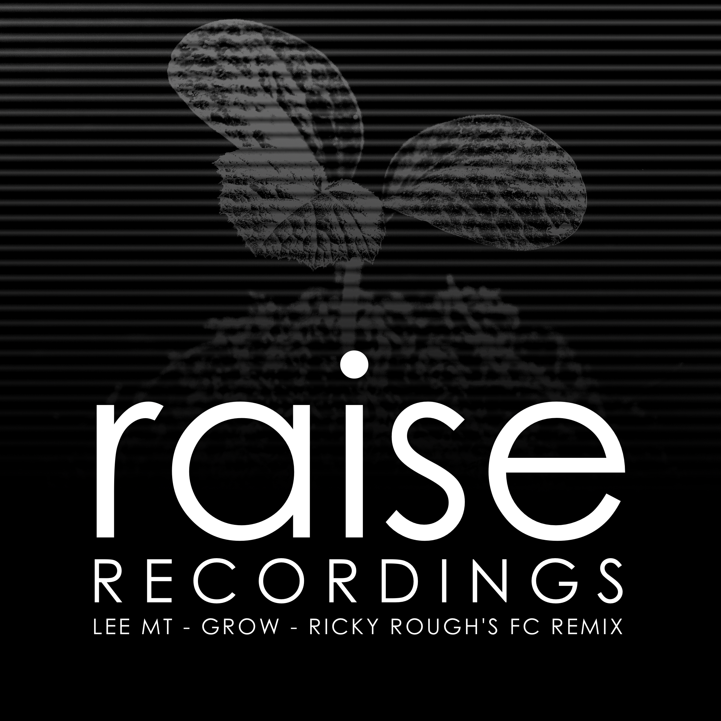 Lee MT – Grow (Ricky Rough’s FC Remix)