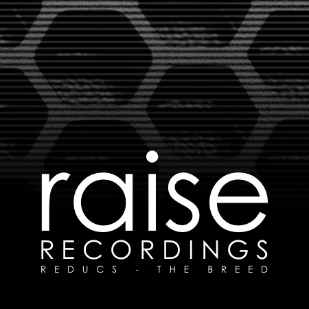 Reducs – The breed