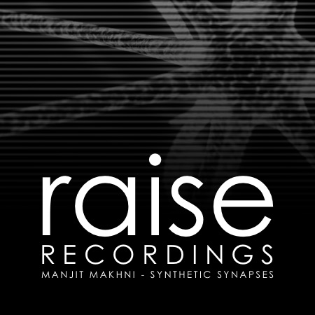 Manjit Makhni – Synthetic Synapses