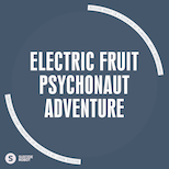 Electric Fruit – Psychonaut Adventure