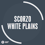 Scorzo – White Plains