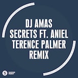 Dj Amas – Secrets feat Aniel (Terence Palmer Remix)