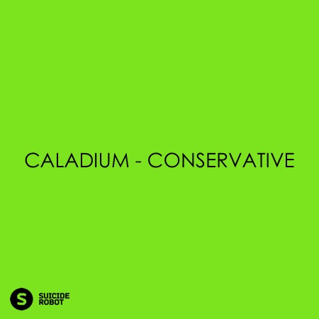 Caladium – Conservative