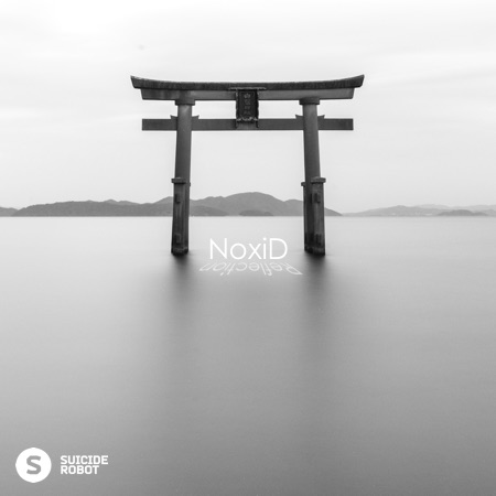 NoxiD – Reflection