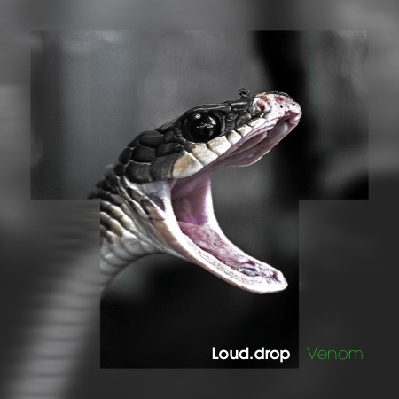 Loud.drop – Venom
