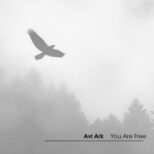 Avi Ark - You Are Free
