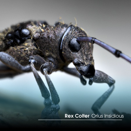 Rex Colter – Orius Insidious