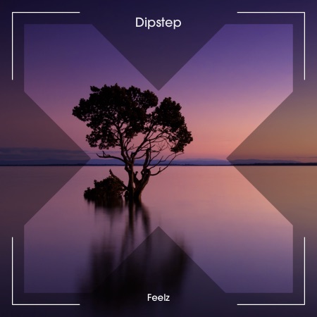 Dipstep – Feelz